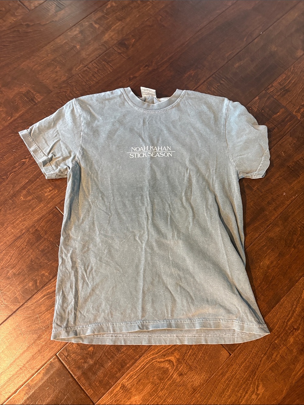 Stick Season T-Shirt - Light Green - Concert Shirt